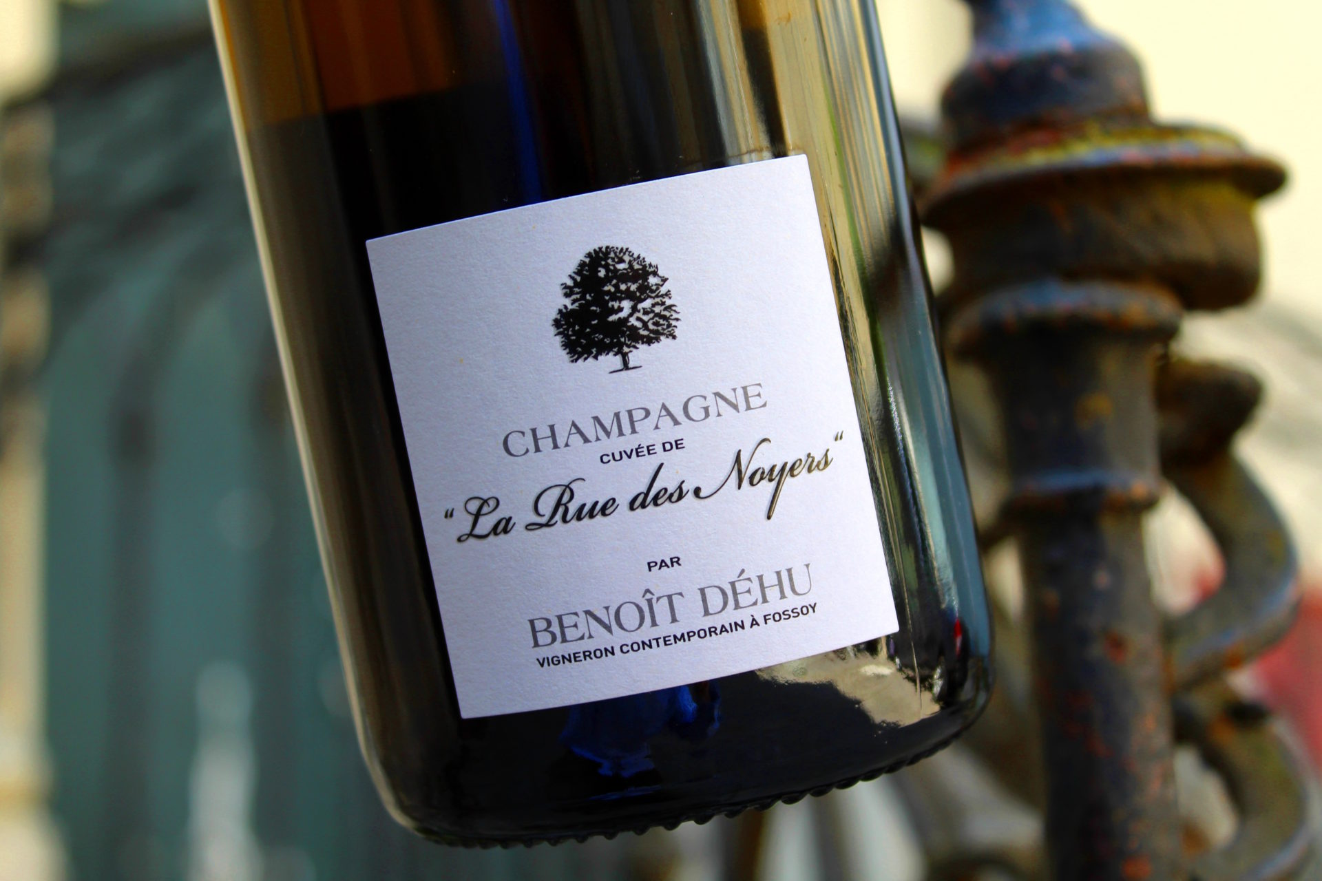 Image Chronicle of the Week: Pinot Meunier d’auteurs fans welcome!