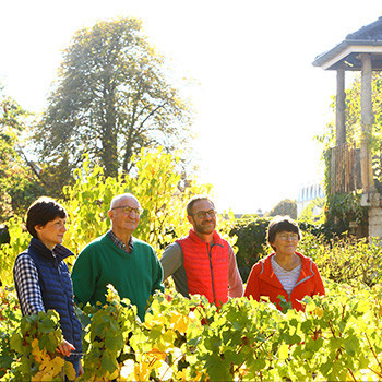 Image Domaine Fontaine-Gagnard