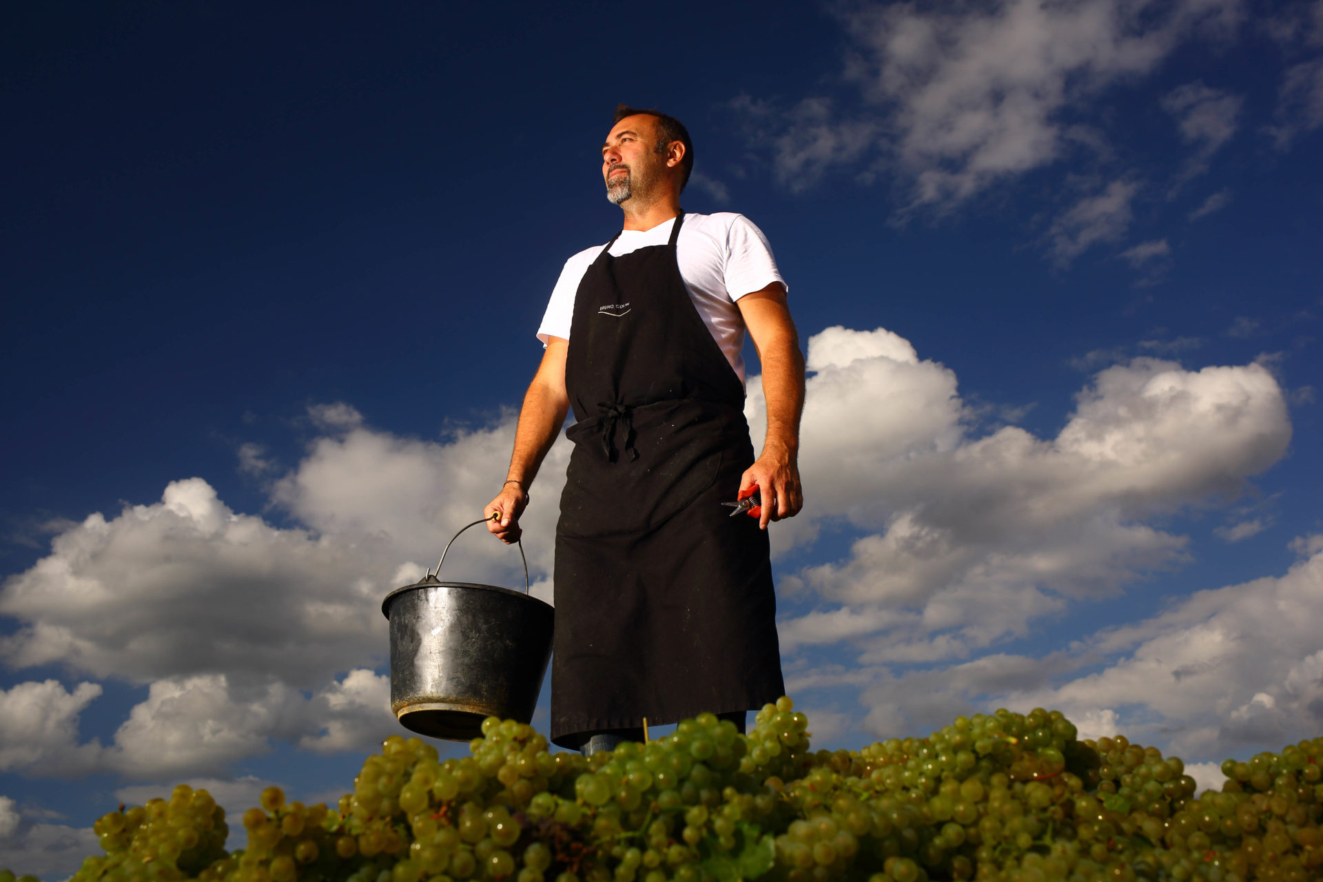 Image Domaine Bruno Colin
