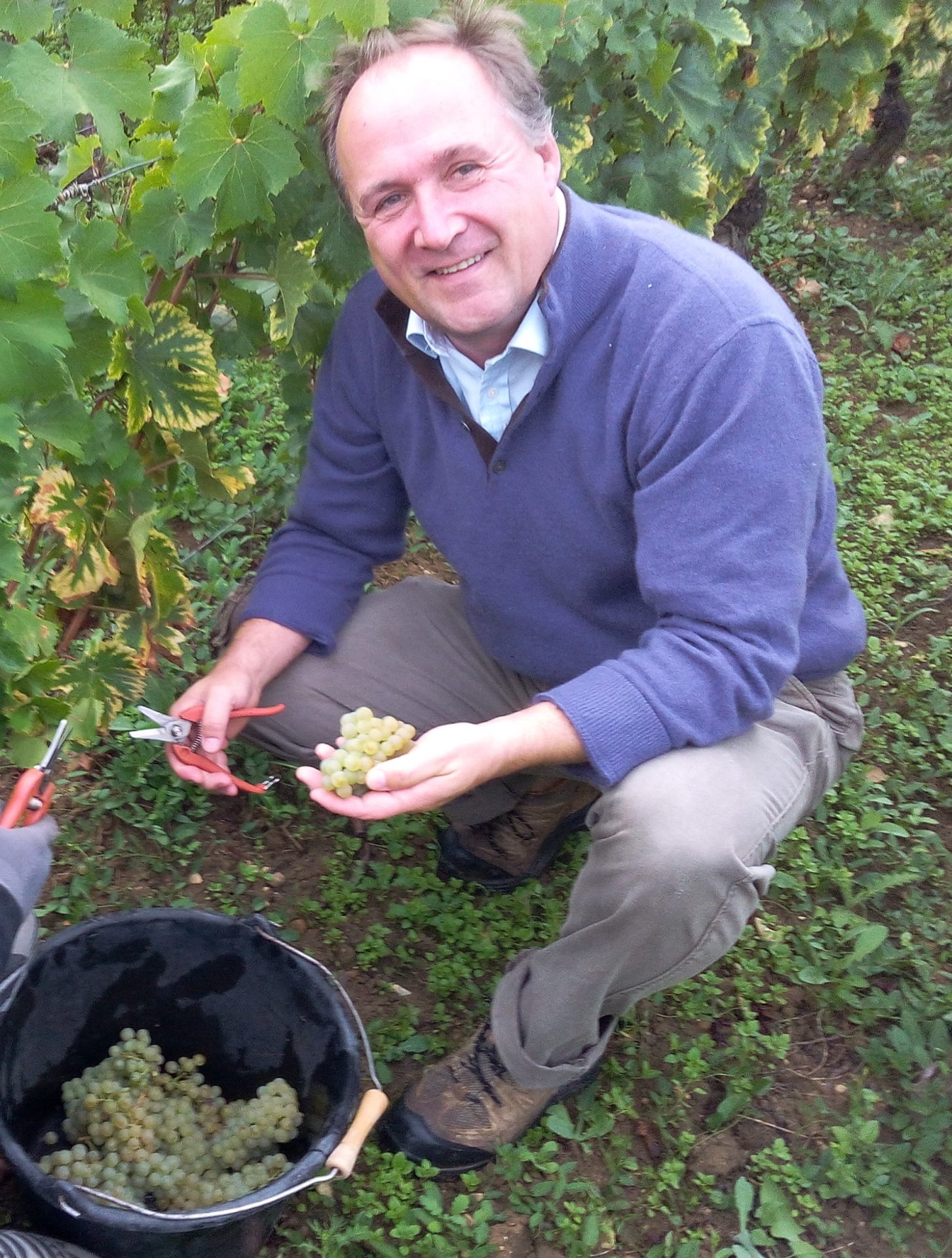 Image Domaine Leflaive