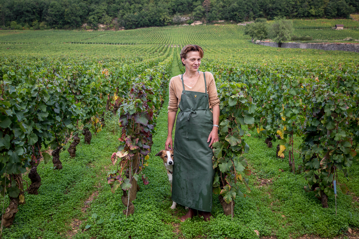 Image Domaine Sylvie Esmonin