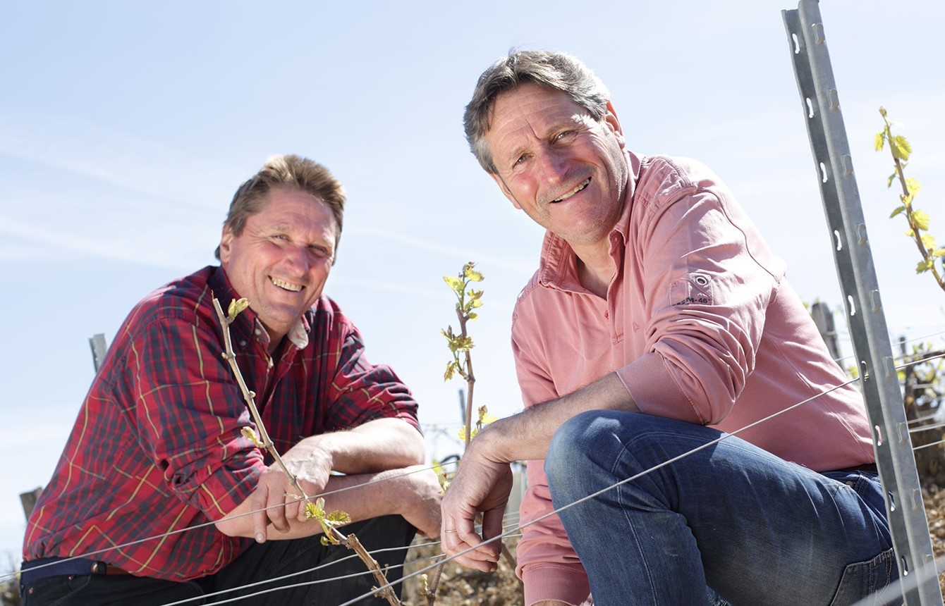 Image Domaine Gilbert Picq & Fils