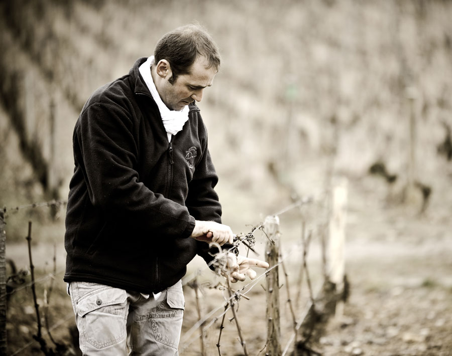 Image Domaine Michel Bouzereau & Fils