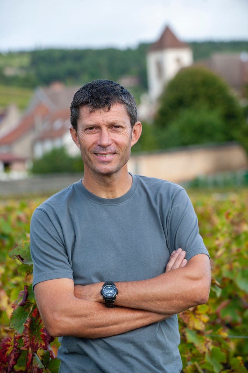 Image Domaine Georges Roumier