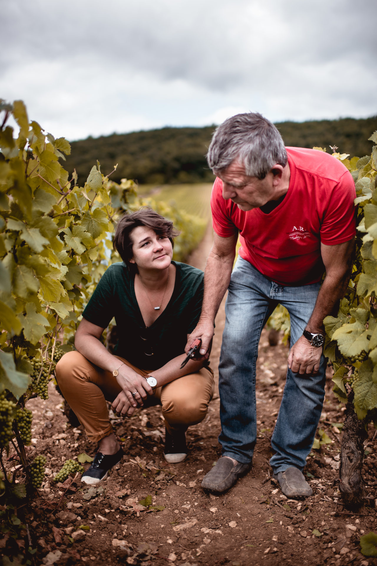 Image Domaine Armand Rousseau