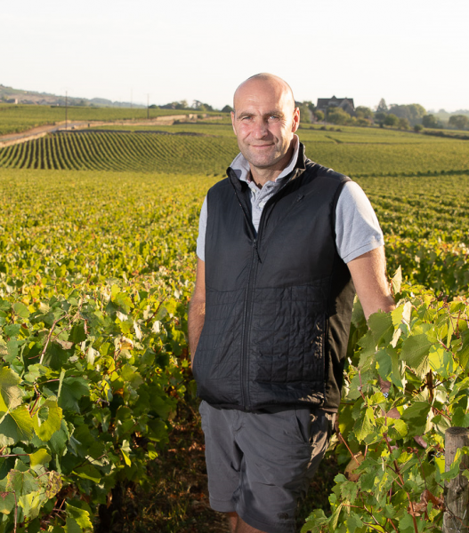 Image Domaine Pierre-Yves Colin-Morey et Domaine Caroline Morey