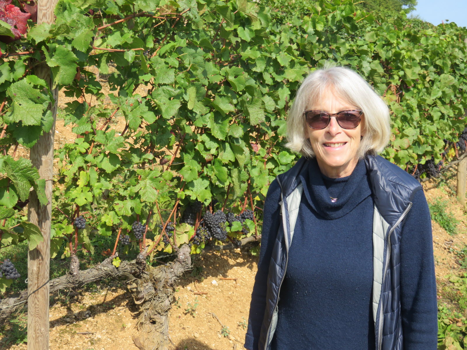 Image Domaine Ponsot