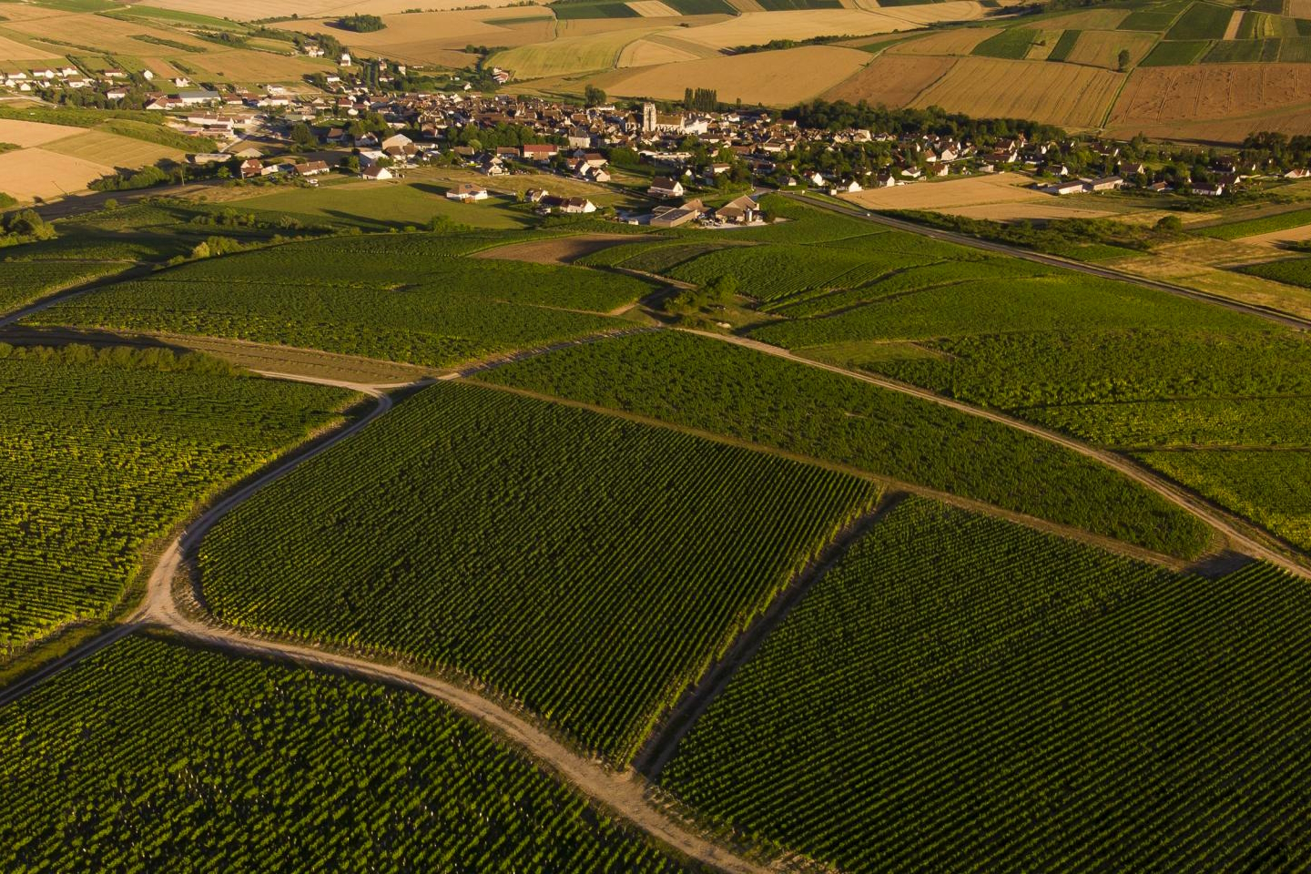 St Bris Le Vineux